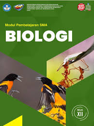 Biologi erlangga kelas 12 pdf. Xii Biologi Kd 3 7 Final Pdf
