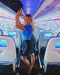 Check spelling or type a new query. Pin On Fa Flight Attendant 1