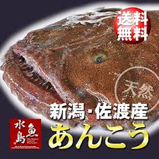 あんこう 一 匹 通販
