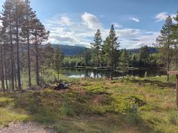 Image result for site:byggahus.se naturtomt