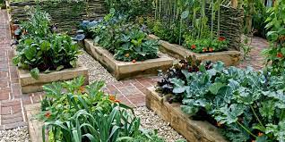 Find out what garden tools you need to start a plot to grow your own vegetables. Top 3 Reasons For Starting A Garden Zenb Us