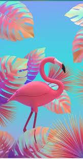 Pin De Bbizazdemir Em Wallpaper Papel De Parede Flamingo Flamingo Papel De Parede Papeis De Parede Em Movimento