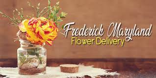 I live in san francisco and wanted to send flowers to a friend in frederick, md. The 6 Best Options For Flower Delivery In Frederick Maryland 2021