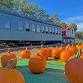 Pumpkin Train