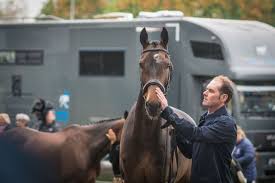 Boekelo First Horse Inspection: All Pass After Two Holds