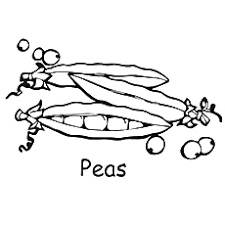 Like two peas in a pod coloring page vector. Top 10 Peas Coloring Pages For Toddlers