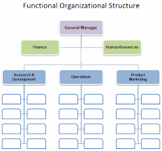 Free Organizational Chart Template Organization Chart Organizational Structure Organizational Chart