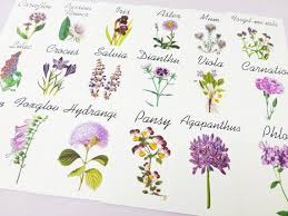 50 Best Table Name Ideas For Weddings Emmaline Bride Wedding Table Flowers Card Table Wedding Wedding Table Names