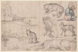 Albrecht durer / animals art prints. Sketches Of Animals And Landscapes