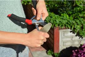 Sharpen garden shears with a dremel due to the following reasons; How To Sharpen Garden Shears Step By Step Guide