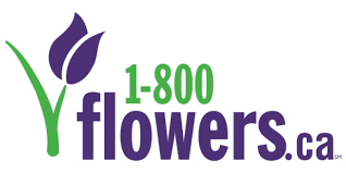 Send flowers to canada (free shipping). Flowers Gifts Delivery Canadian Florist 1800flowers Ca
