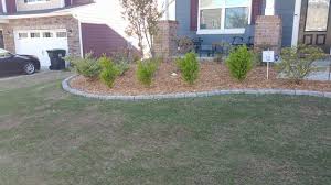 It keeps pesky grass from growing out of your flower beds too. Edging Ideas Page 3 The Lawn Forum