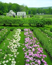 Keep essential oils, spices, and herbs in your pantry at all times. 10 Gorgeous Easter Dinner Ideas Martha Stewart 2021