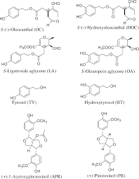 Plos One Novel Liquid Liquid Extraction And Self Emulsion Methods For Simplified Isolation Of Extra Virgin Olive Oil Phenolics With Emphasis On Oleocanthal And Its Oral Anti Breast Cancer Activity