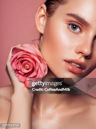 1,677 Lipstick Rose Flower Stock Photos, High-Res Pictures, and Images