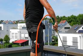 ausgabe 08 2019 dach holzbau