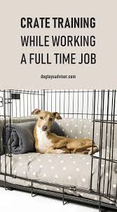 How Do You Deal With Crate Training While Working A Full Time Job It S Not As Hard As You Mig House Training Puppies Crate Training Puppy Potty Training Puppy