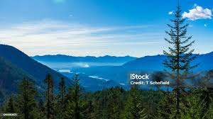 National Forest Baker Lake Stock Photo