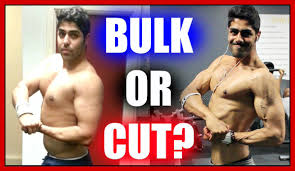 Create an ideal caloric surplus. Ram Ghuman On Twitter Should You Bulk Or Cut First Find Out Here Https T Co Covm3uxysu