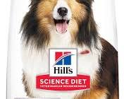 Hill's Science Diet Dry Dog Food Adult formula