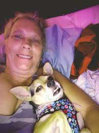 Introduction and photo sharing in chihuahua club