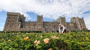 Un castillo bastante grande,es el castillo más antiguo y más grande del mundo. El Castillo De Windsor Abre Al Publico El Jardin De La Terraza Por Primera Vez En 40 Anos Inmobiliare