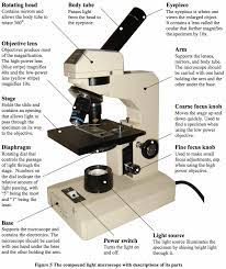 Mr Klein S Classes Science Handbook 4 3 Microscope Parts Science Teaching Resources Science Printables