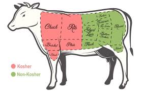 Kosher Meat Questions Answered The Forward