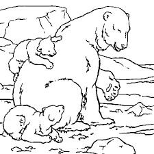 Coloriage ours polaire en Ligne Gratuit à imprimer