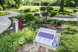 Bereits im jahre 1912 wurden dort, damals noch in einem waldgebiet, die ersten genossenschaftshäuser errichtet, die heute unter denkmalschutz stehen. Memoriam Garten Rheingonheim Er Ist Eines Von Funf Gartnerbetreuten Gemeinschaftsgrabfeldern In Ludwigshafen Der Memoriam Garten Auf Dem Friedhof Rheingonheim Der Erinnerungsort Ist Eine Brucke Zwischen Den Lebenden Und Den Toten In Einer