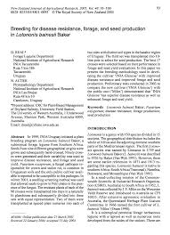 Image result for Lotononis bainesii