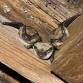 What Good Are Bats?
