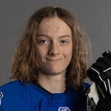 Fond du Lac Springs Ledgers