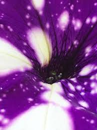 Check spelling or type a new query. Focal Point Photography Home Facebook