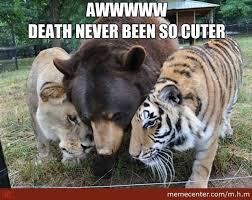 Image result for hi meme