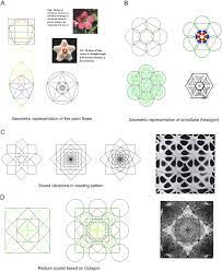Check spelling or type a new query. Geometric Proportions The Underlying Structure Of Design Process For Islamic Geometric Patterns Sciencedirect