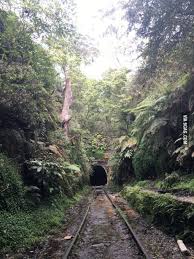 An Abandoned Railway Station And Tunnel Near Sydney Abandoned Abandoned Places Train Tracks