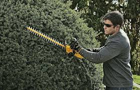 The Best Power Hedge Trimmers For Landscaping Best Hedge Trimmer Hedge Trimmers Trimmers