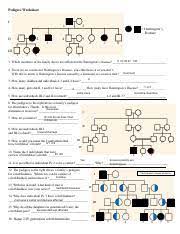 Genetics pedigree worksheet answer key, genetics pedigree worksheet answer key and pedigree charts worksheets answer key are some main things we will present to you based on the gallery title. Kami Export Pedigree Worksheet 2 Ignacio Mejia Pedigree Worksheet I Ii 1 2 1 2 4 5 Huntingtons Disease 3 6 7 8 Iii 1 2 3 4 5 I1 Ii2 Ii3 Ii7 Course Hero