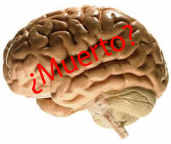 La herencia del dualismo cartesiano lleva a buscar el momento de separación del alma y el cuerpo como si fueran. Muerte Cerebral Carmelo