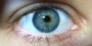 Central Heterochromia Didn T Know This Subtle Variance In Iris Color Had A Name Now My Eyes Will Have Heterochromia Eyes Aesthetic Eyes Beautiful Eyes Color