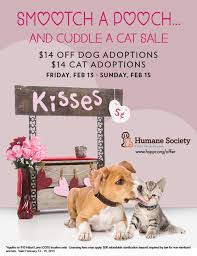 We are a humane organization, founded on principles of compassion and empathy, and the elimination of cruelty and suffering. Pin By Aisha Jansen On Shelter Things Animal Shelter Pet Adoption Foster Dog