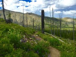 Amenities, photos and picnic facility information for lake josephine county park, located in roseville. Hiking Guide Josephine Lake Mccall Idaho Let S Go