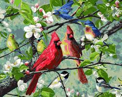 Your photo paint by number. Birds In The Branches Flowers 16 X 20 Inch Paint By Numbers With Frame Paint By Numbers Framed New Paint By Numbers For Adults Beginner Kids Art Supplies Home