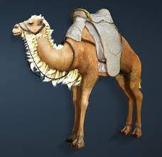 Taming a horse in bdo is a fun element of the game and absolutely necessary if you want to save your silver and breed higher tier horses. Bdo Fashion Katan Combat Gear For Camel Black Desert Online