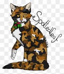 Check spelling or type a new query. Warrior Cats Coloring Pages Spottedleaf Spotted Leaf Warrior Cats Free Transparent Png Clipart Images Download