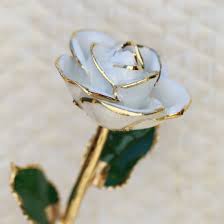 Image result for White Gold 2020 Responder