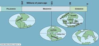 Refer to the following image to understand the timeline of this era, depending on the variation of. Mesozoic Era 8th Grade Science
