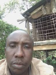 Where's all the quail for sale.