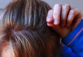 I took vitamin tablets, the grey hairs started to vanish. Diet For Grey Hair Control Archives Healthylife Werindia